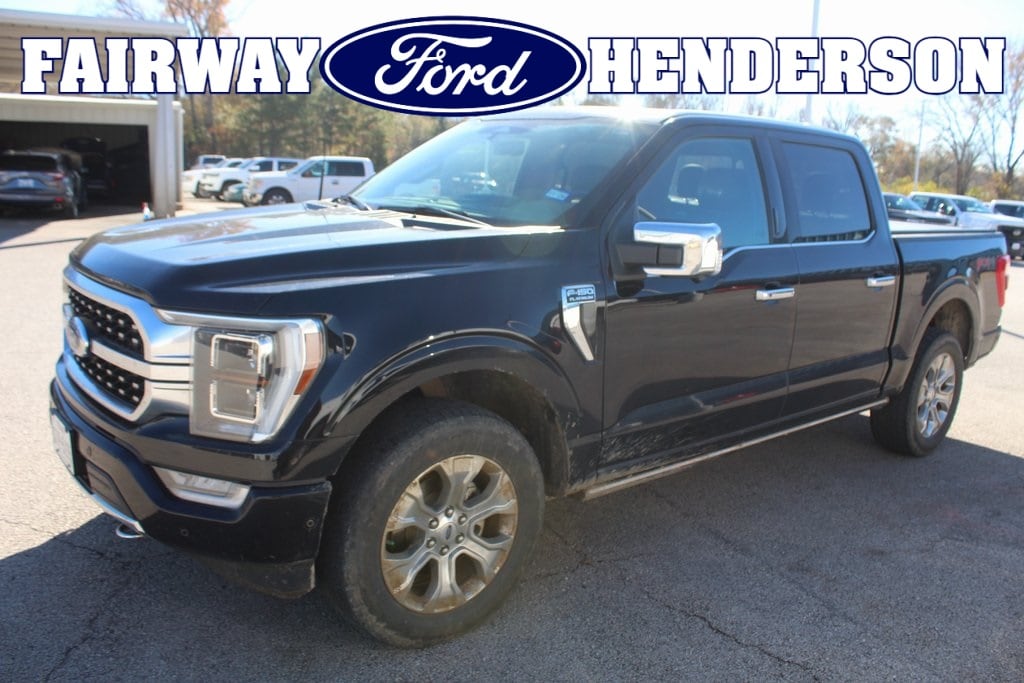 2023 Ford F-150 Platinum's photo