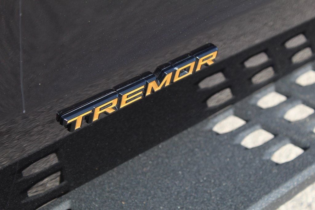 2025 Ford Expedition Tremor - Photo 6