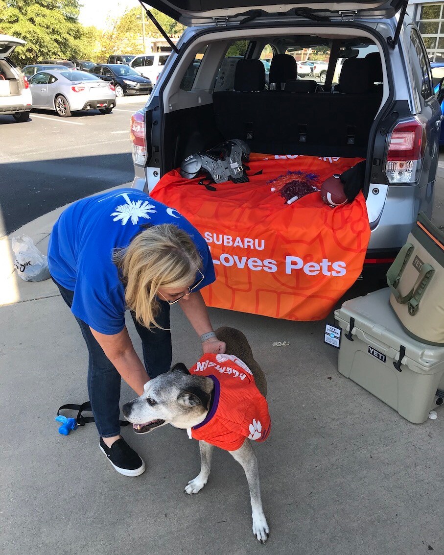 Subaru Loves Pets 2017