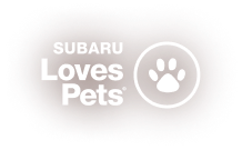 Subaru Loves Learning