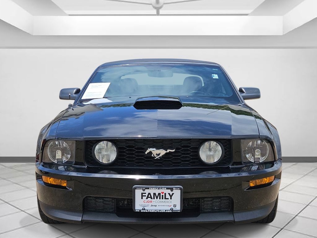 Used 2009 Ford Mustang GT Premium with VIN 1ZVHT85H195110043 for sale in Commerce, TX