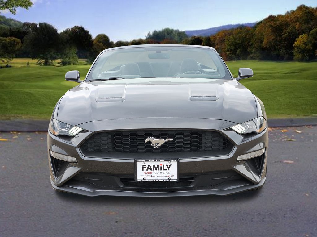 Used 2019 Ford Mustang EcoBoost with VIN 1FATP8UH2K5159055 for sale in Commerce, TX