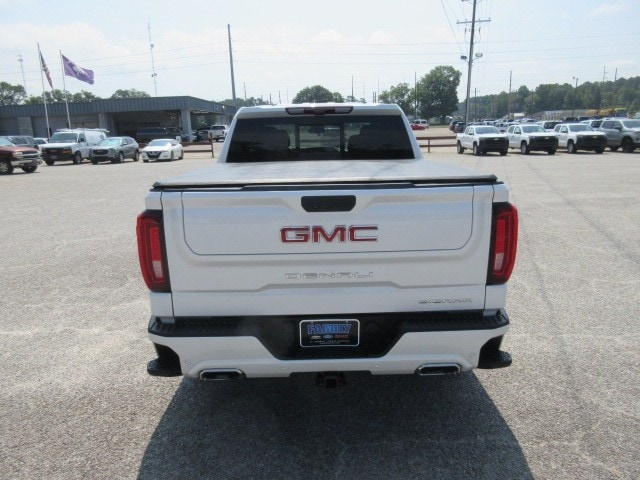 2022 GMC Sierra 1500 Denali Denali - Photo 6