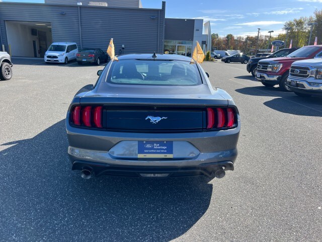 2021 Ford Mustang EcoBoost photo 4