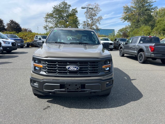 2025 Ford F-150 STX photo 2