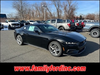 2025 Ford Mustang Ecoboost Premium Fastback CAR