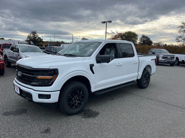 2025 Ford F-150 XLT photo 3