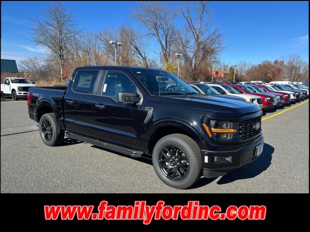 2025 Ford F-150 STX's photo
