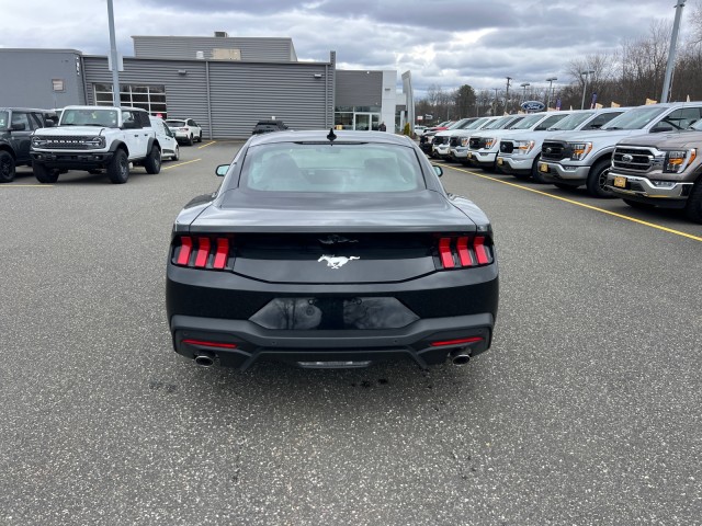 2026 Ford Mustang EcoBoost Fastback - Photo 4