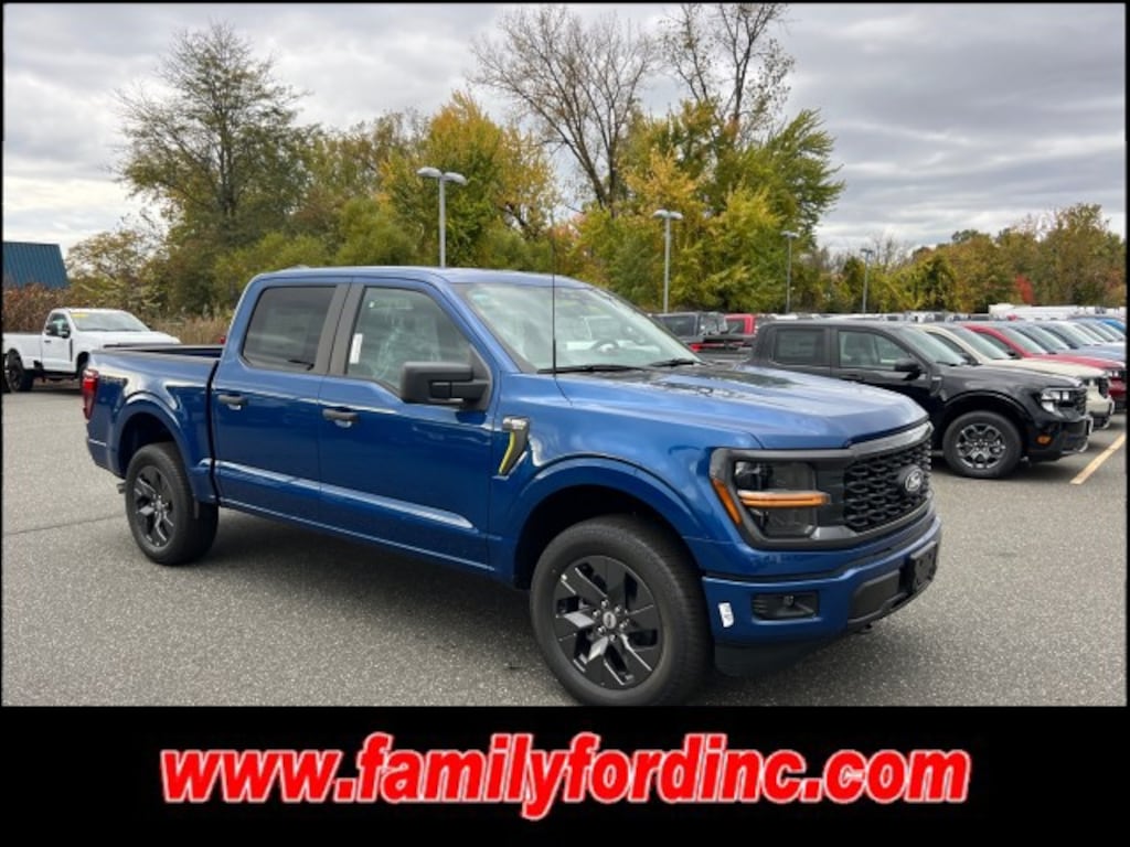 New 2025 Ford F-150 STX TRUCK