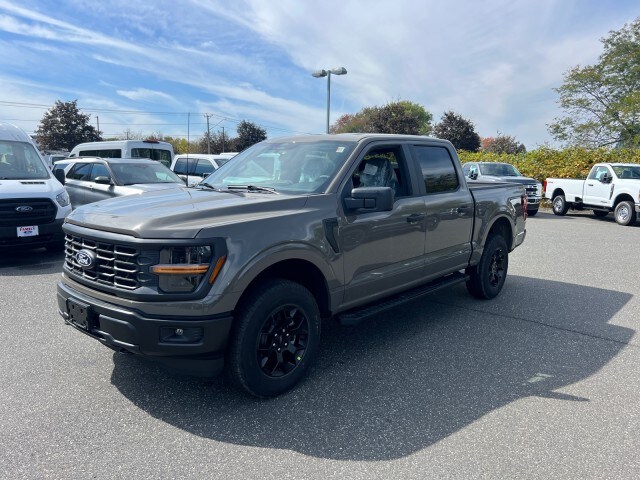 2025 Ford F-150 STX photo 3