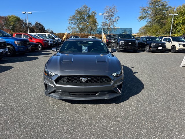 2021 Ford Mustang EcoBoost photo 2