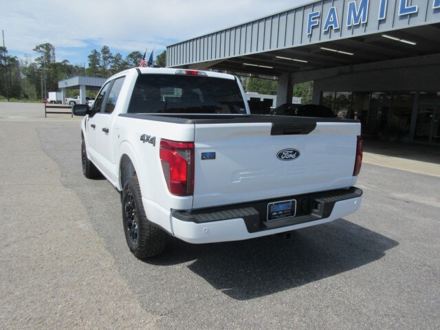 2025 Ford F-150 STX photo 3