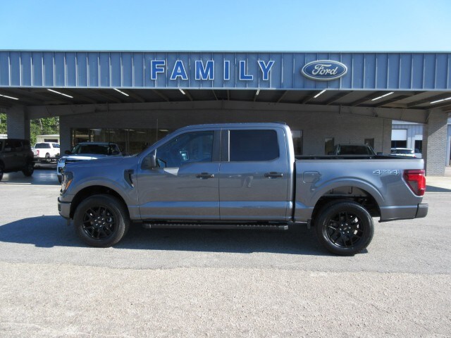 2025 Ford F-150 STX photo 2