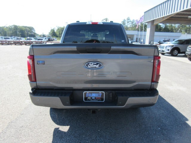 2025 Ford F-150 STX photo 3