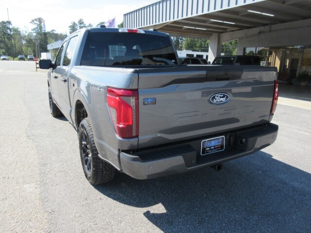 2025 Ford F-150 STX photo 2