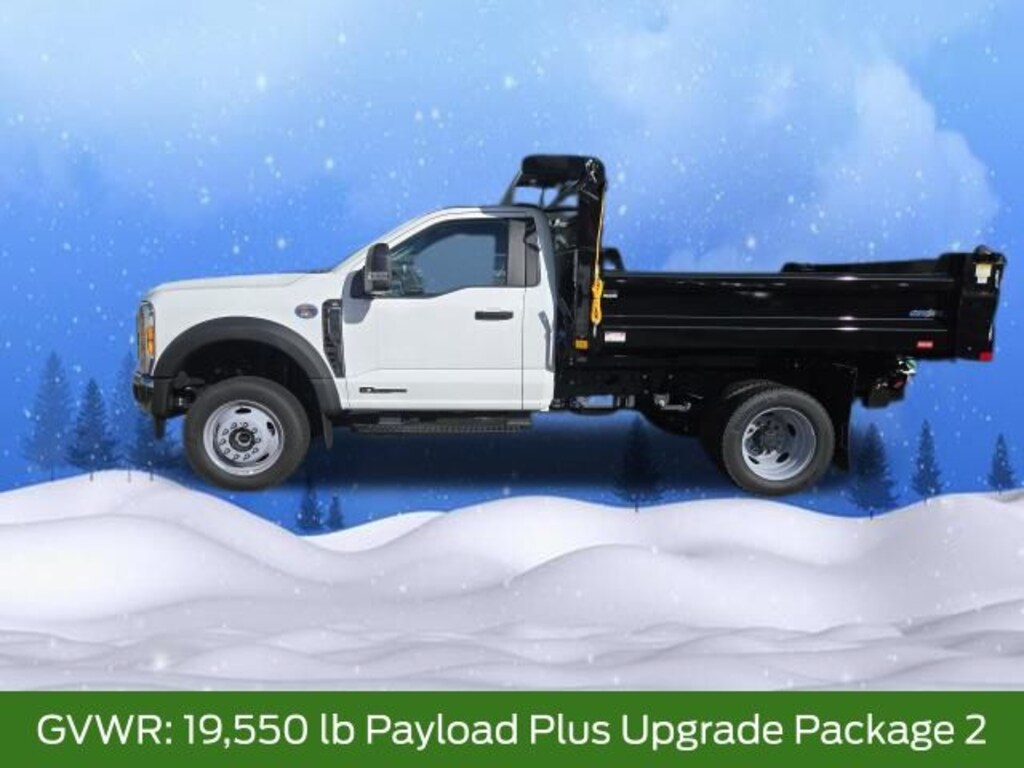 New 2025 Ford F-550 Chassis Truck Regular Cab