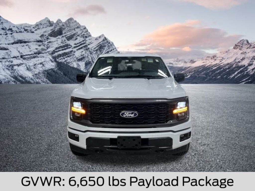 New 2025 Ford F-150 STX Truck SuperCrew Cab