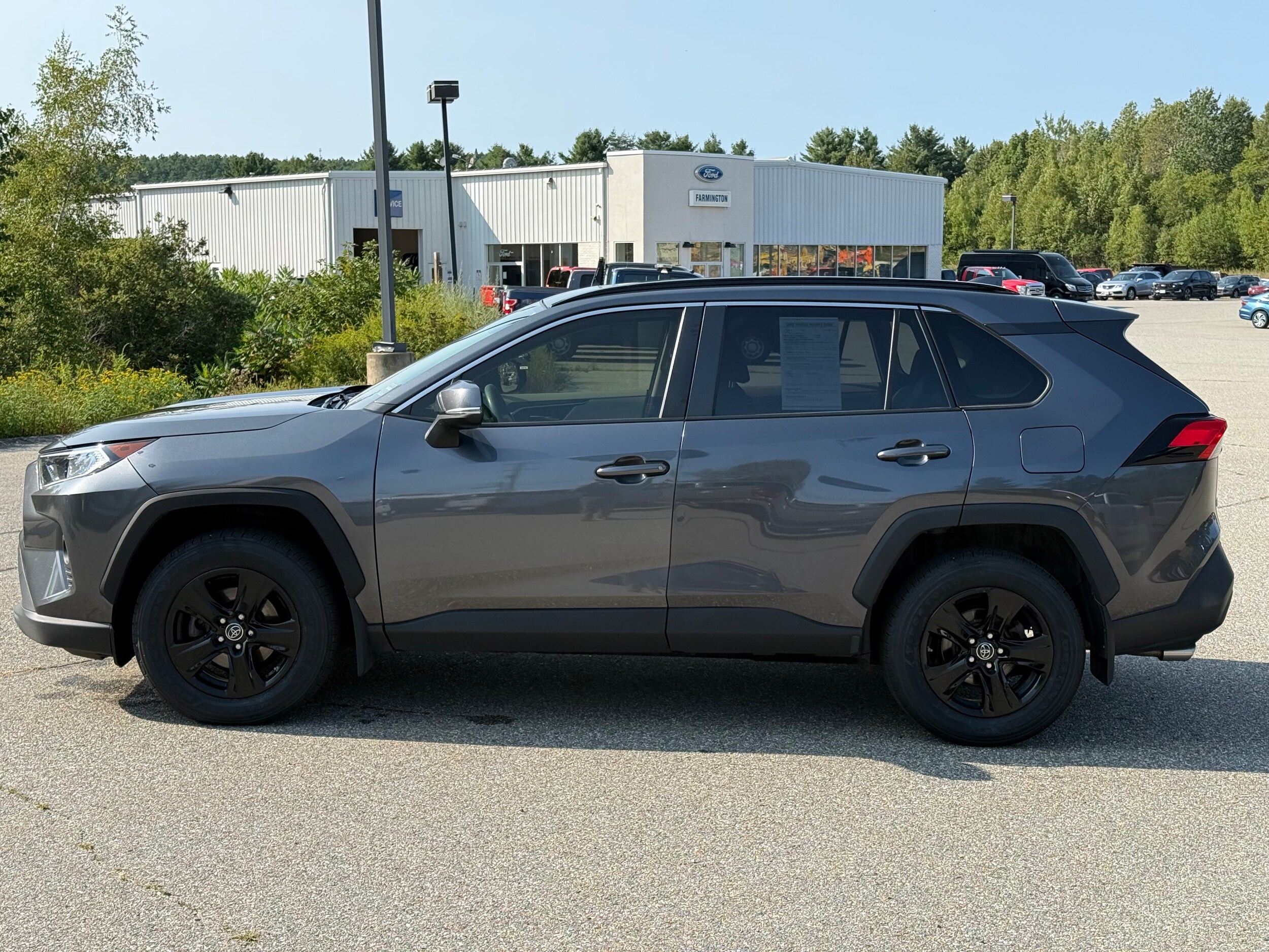 2019 Toyota RAV4 XLE photo 3