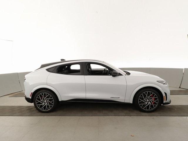 Thumbnail: 2021 Ford Mustang Mach-E - 12
