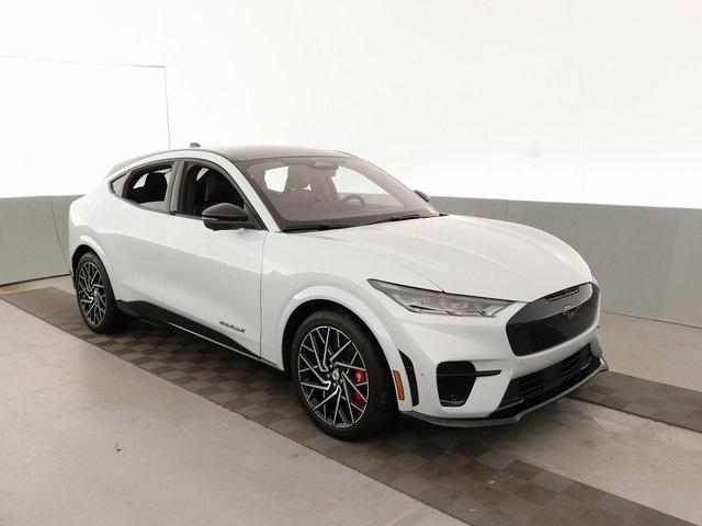 Thumbnail: 2021 Ford Mustang Mach-E - 9