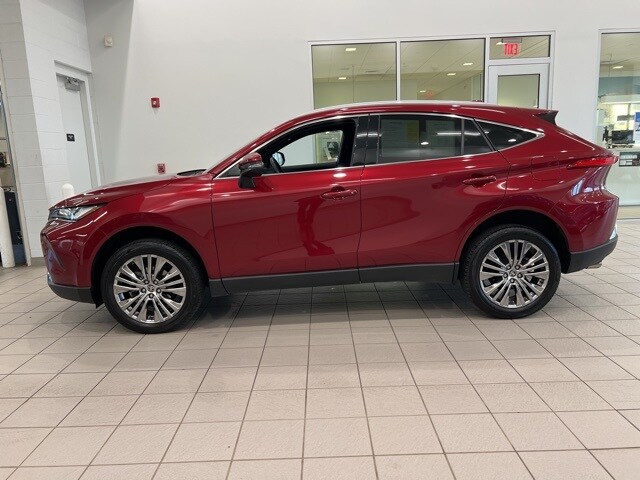 2023 Toyota Venza XLE photo 4