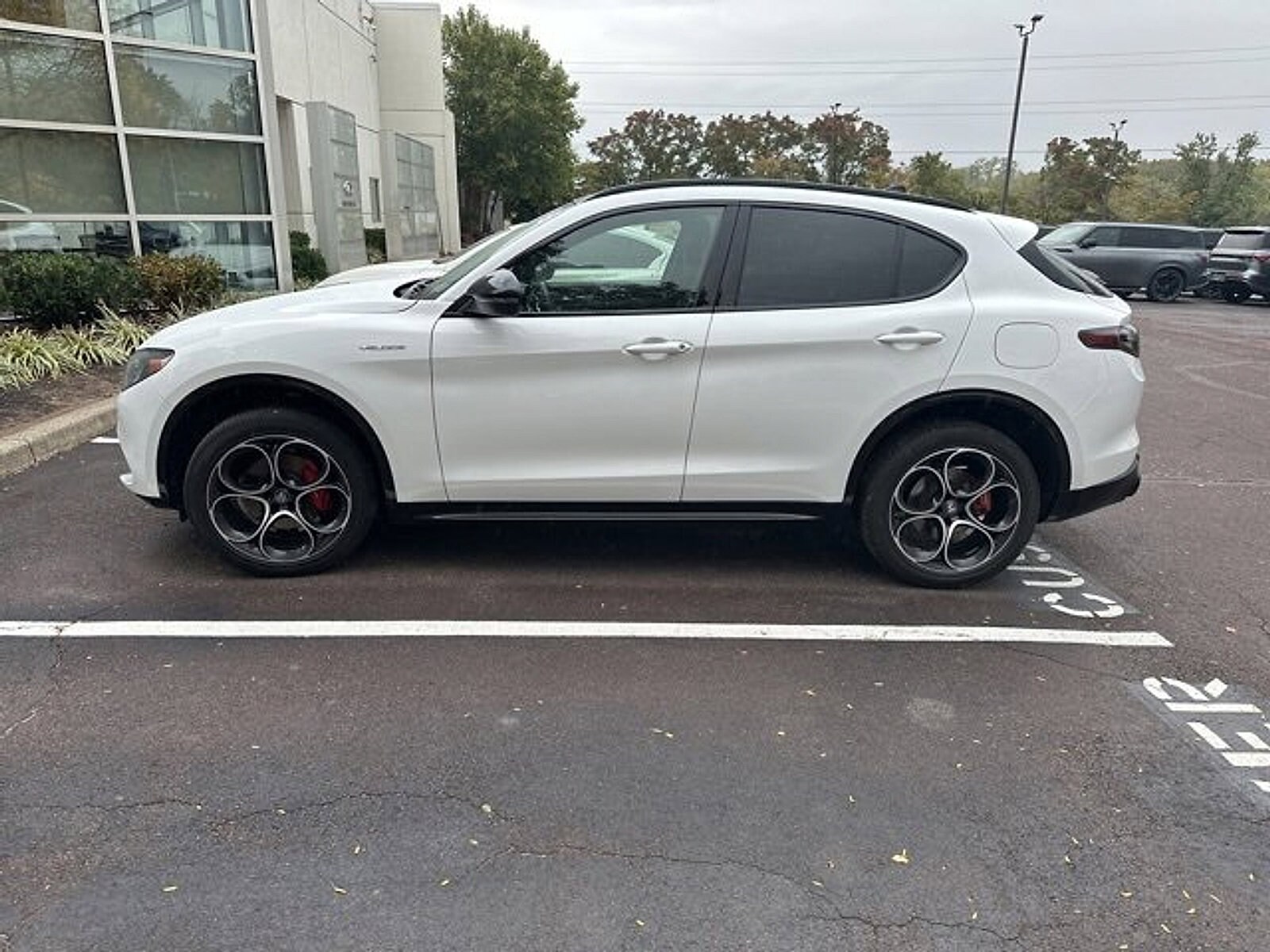 2024 Alfa Romeo Stelvio Tributo Italiano photo 2