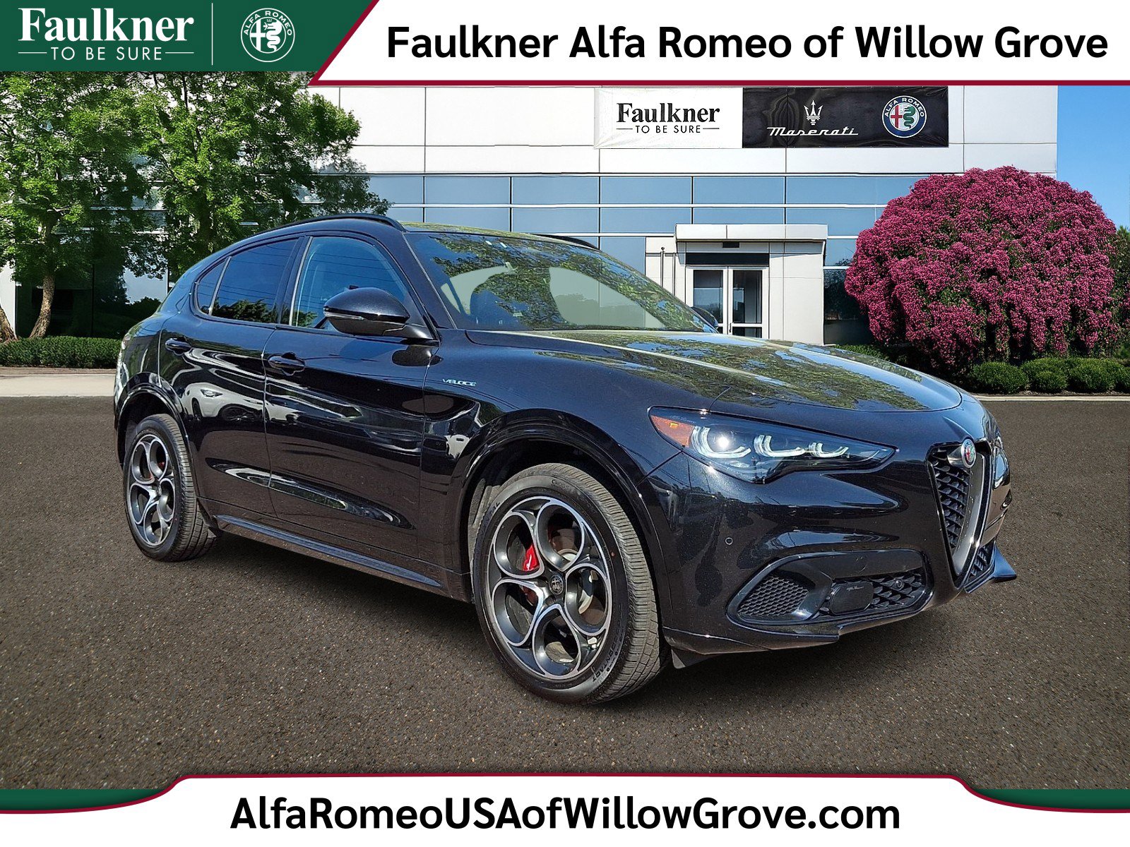 2025 Alfa Romeo Stelvio Stelvio AWD's photo