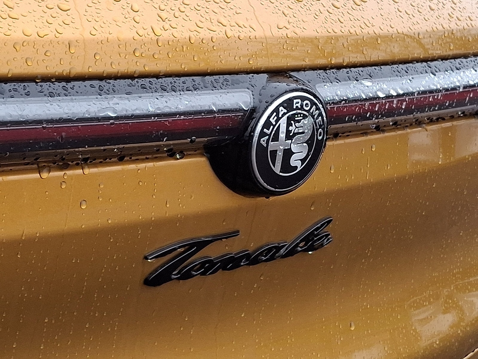 2026 Alfa Romeo Tonale Veloce - Photo 22