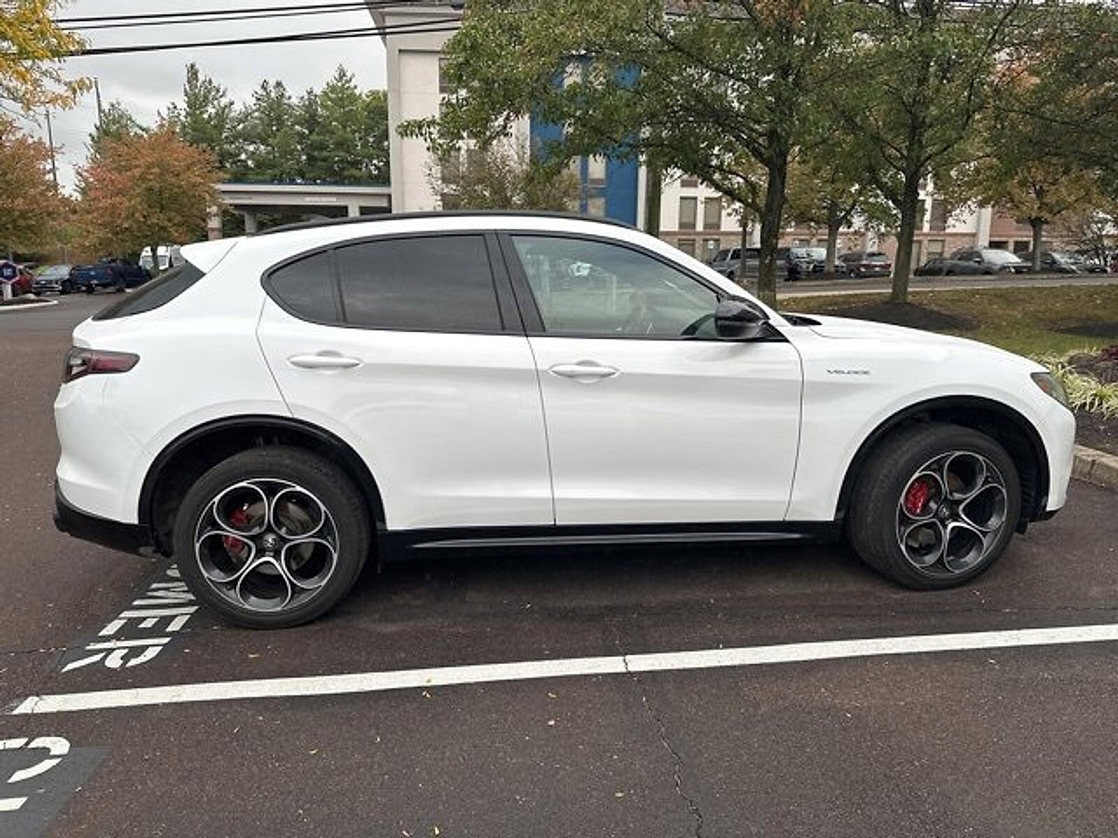 2024 Alfa Romeo Stelvio Tributo Italiano photo 3