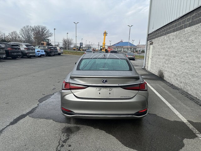 2020 Lexus ES 300h Luxury photo 4