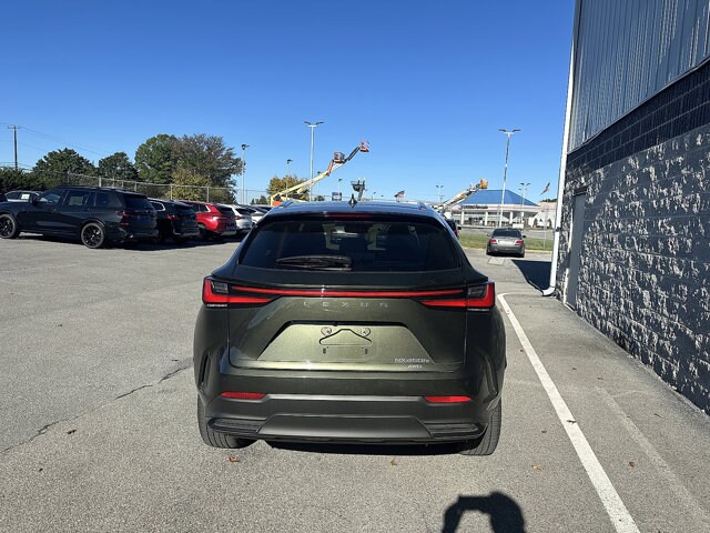 2023 Lexus NX Luxury AWD photo 4