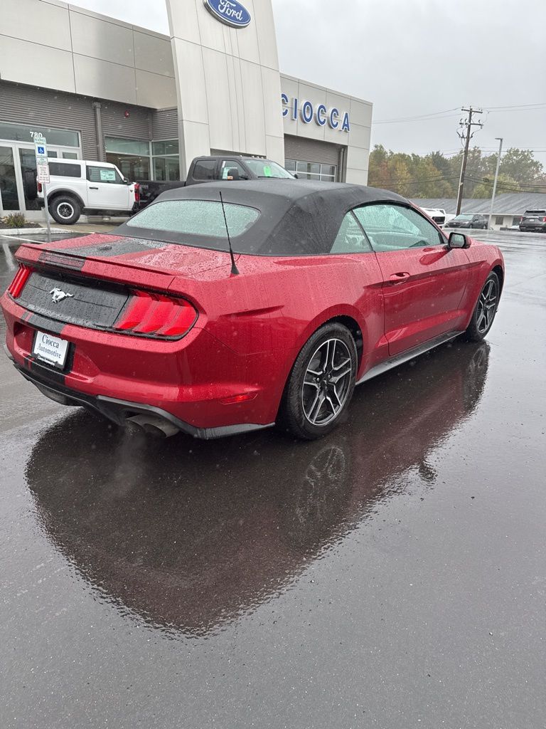 2021 Ford Mustang EcoBoost Premium Convertible photo 4