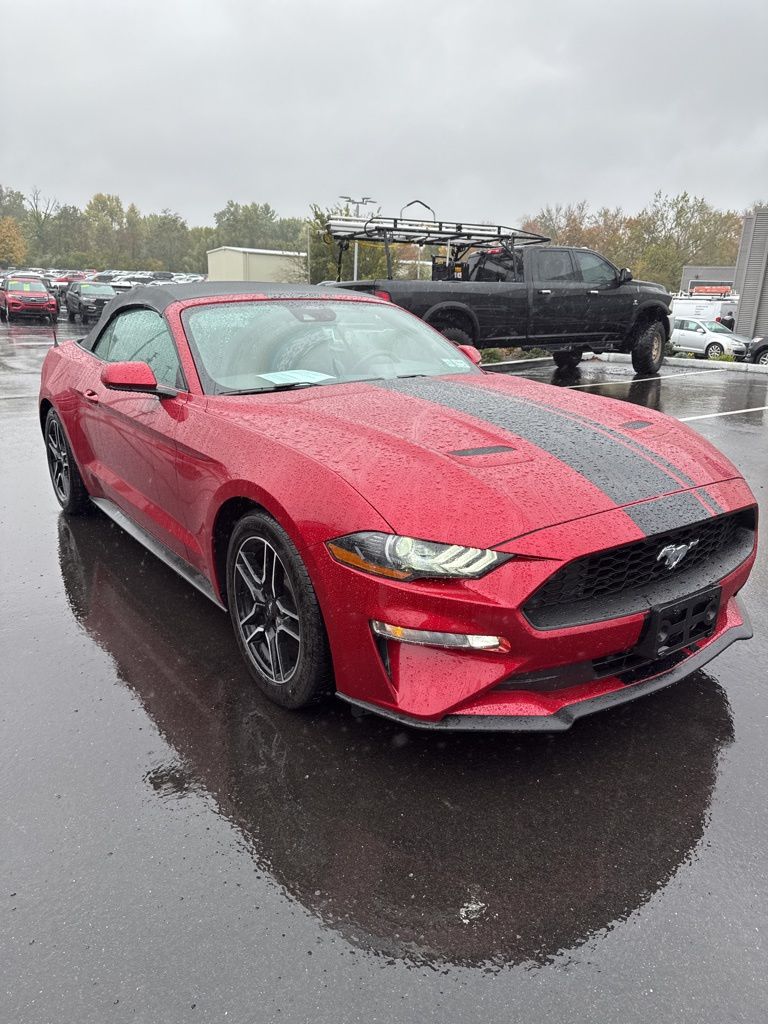 2021 Ford Mustang EcoBoost Premium Convertible photo 3