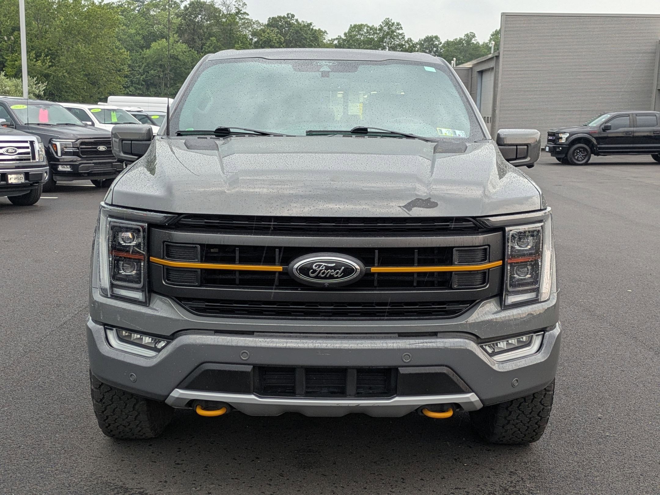2021 Ford F-150 Tremor photo 2