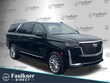 Cadillac Escalade ESV