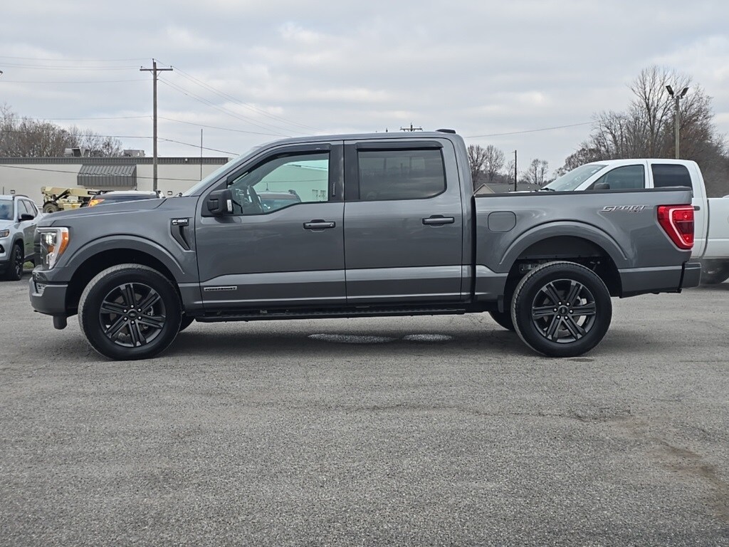 Used 2023 Ford F-150 XLT Truck SuperCrew Cab