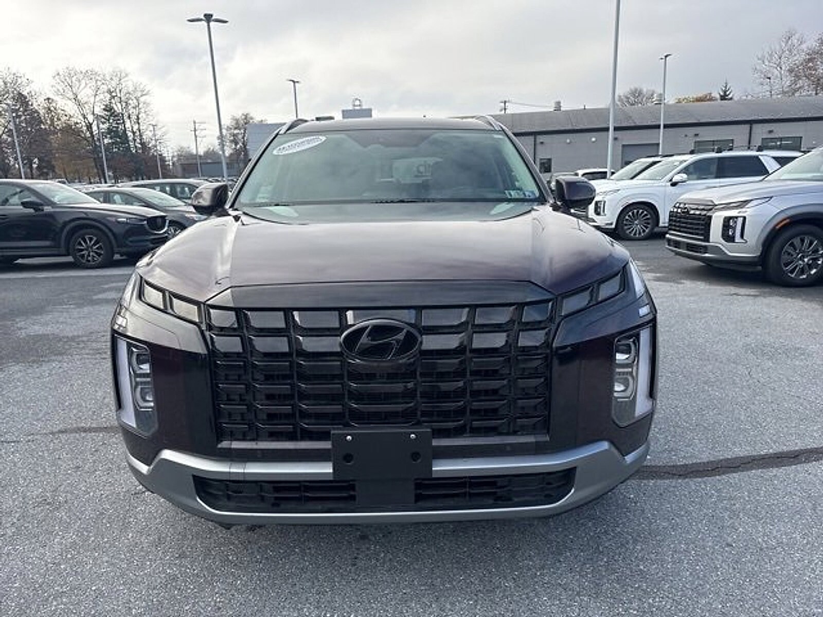 2024 Hyundai Palisade Limited photo 2