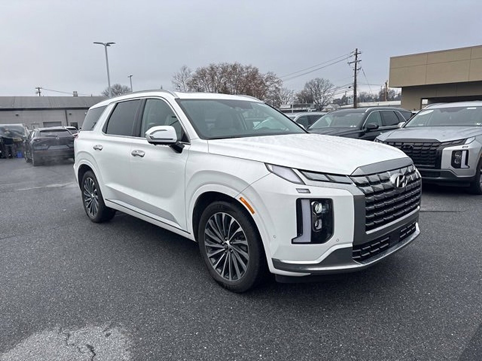 2023 Hyundai Palisade Calligraphy photo 3