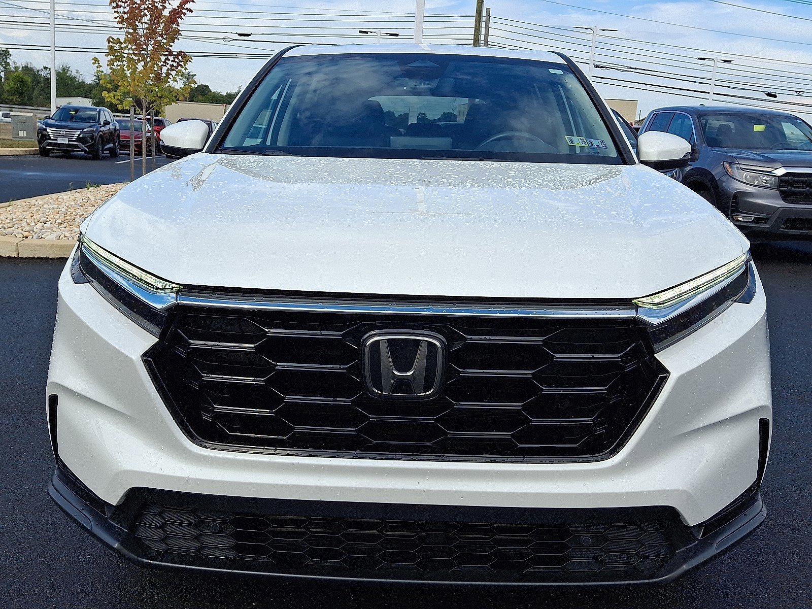 2023 Honda CR-V EX-L photo 2