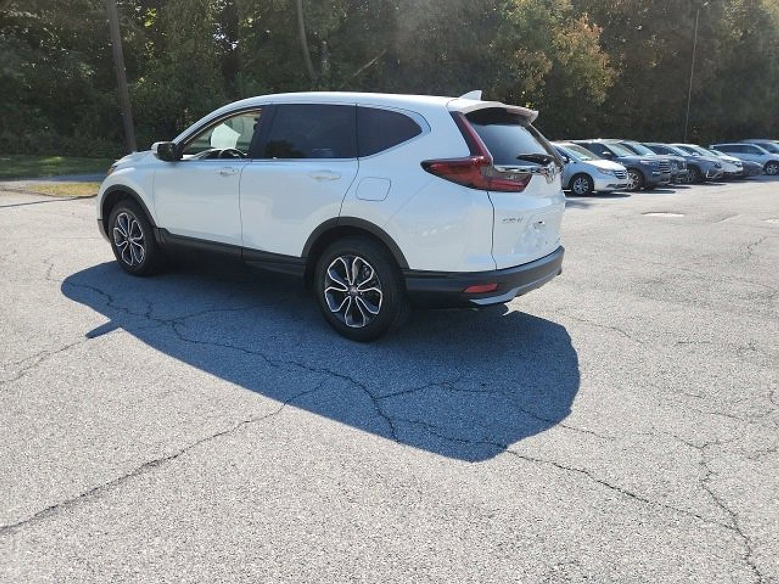 2022 Honda CR-V EX-L photo 3