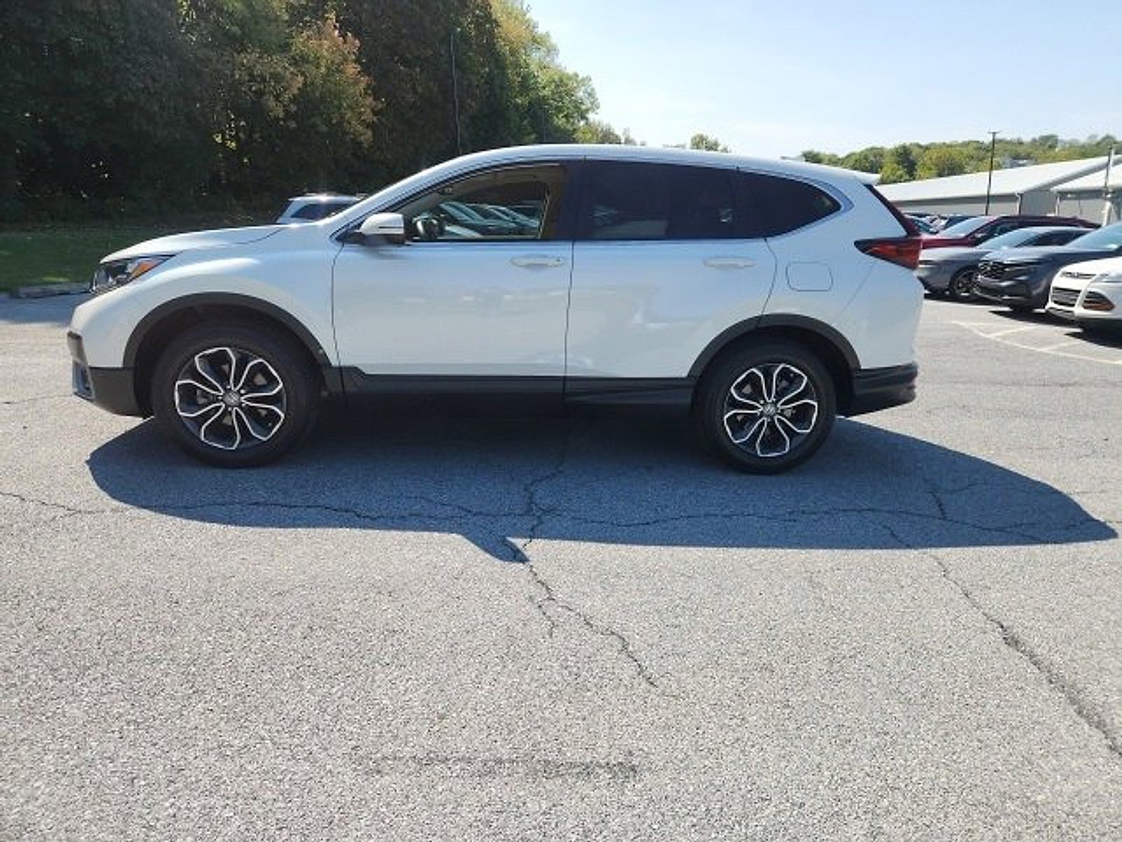 2022 Honda CR-V EX-L photo 2