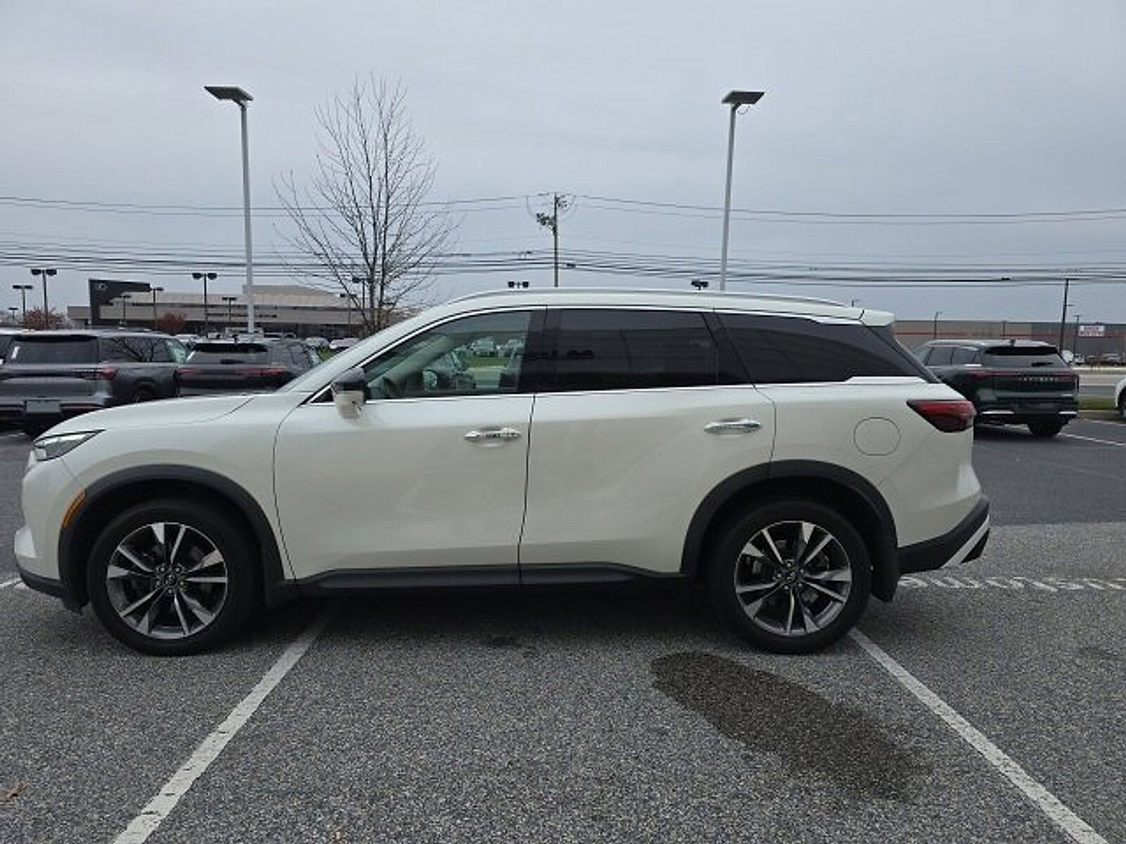 2023 Infiniti QX60 Luxe AWD photo 2
