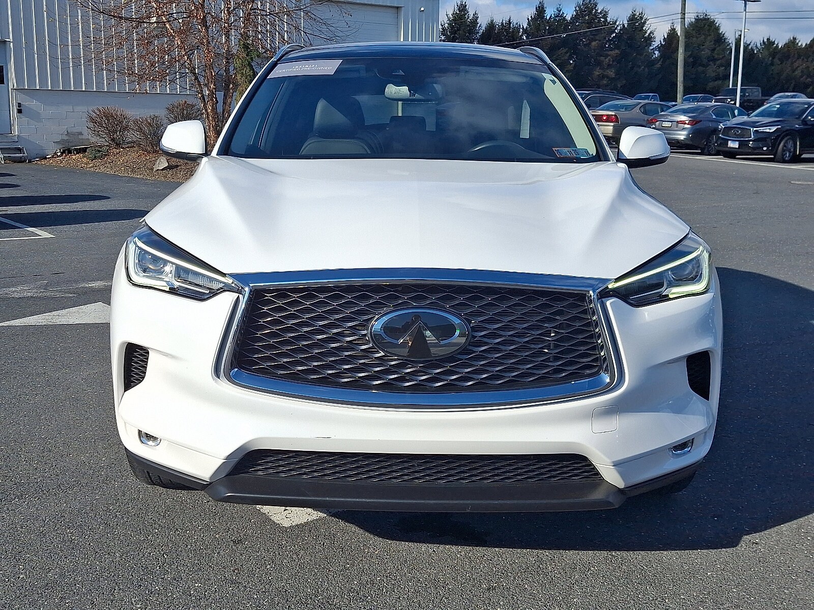 2022 Infiniti QX50 Luxe AWD photo 2