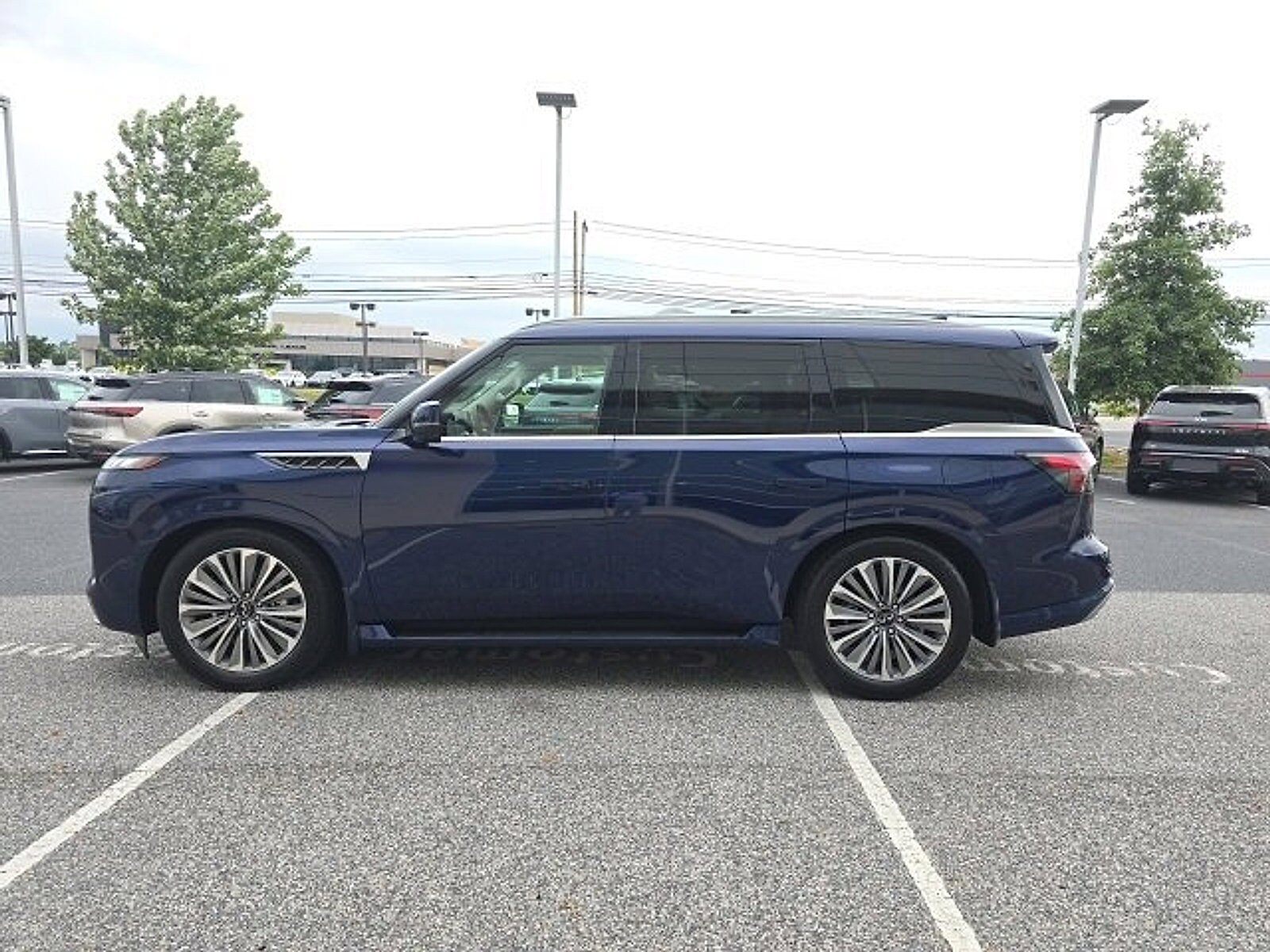 2025 Infiniti QX80 Sensory photo 4