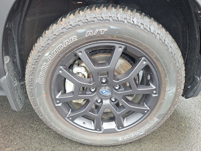 2025 Subaru Crosstrek Wilderness - Photo 9