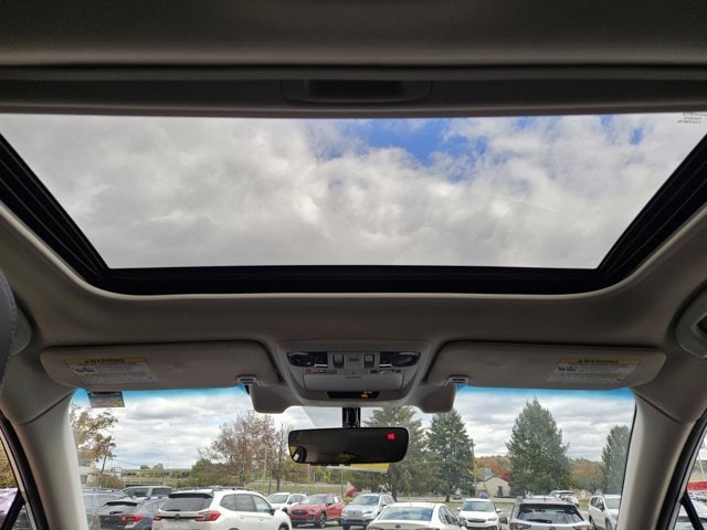 View 15