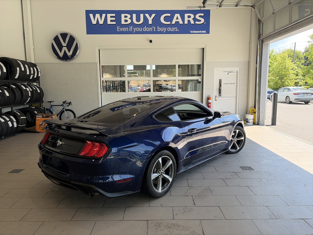 Used 2019 Ford Mustang EcoBoost EcoBoost Fastback