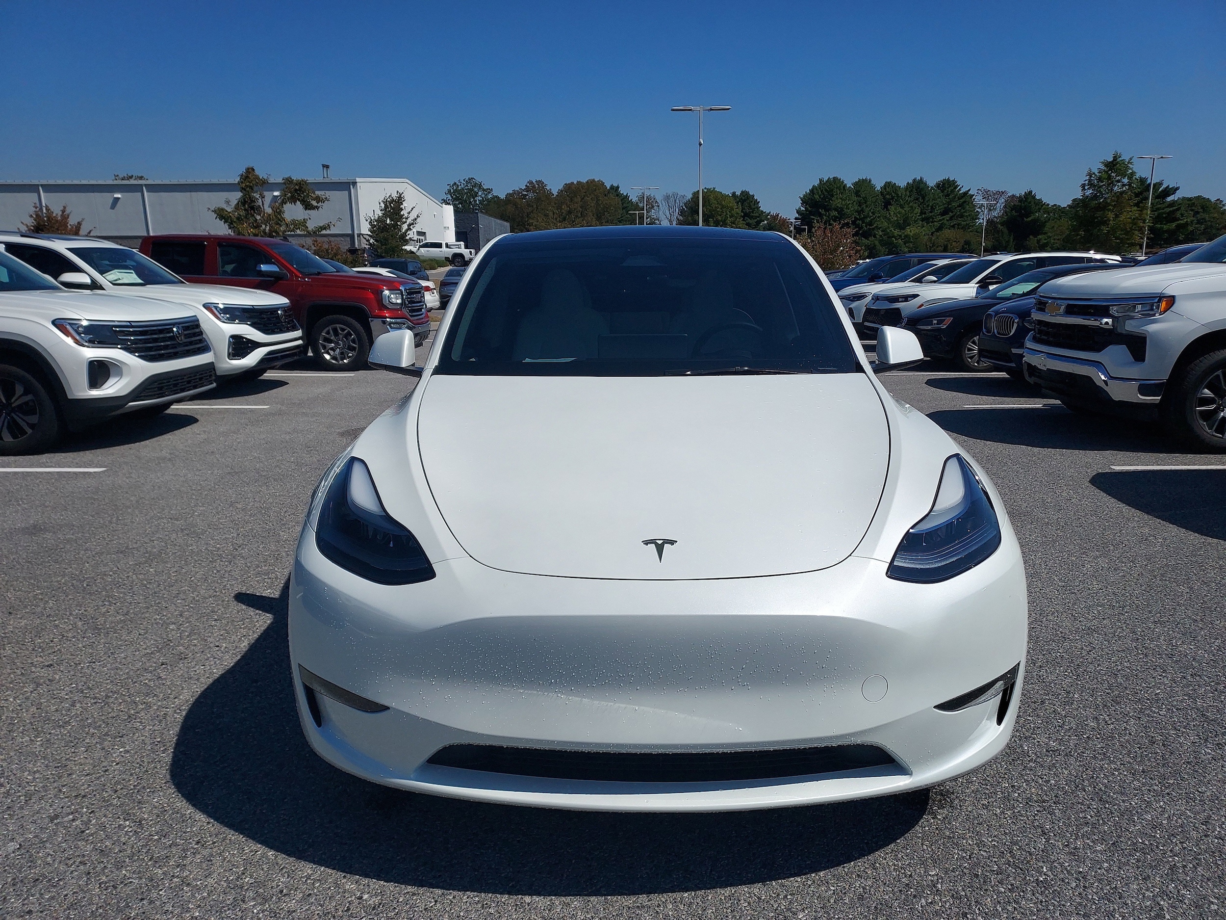 Used 2025 Tesla Model Y Long Range with VIN 7SAYGDEE7SF303391 for sale in Kansas City