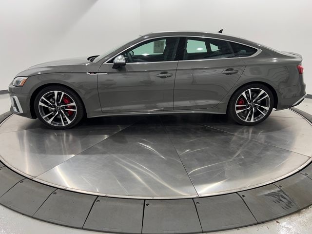 2025 Audi S5 Premium Plus photo 2